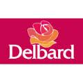 Delbard Taverny