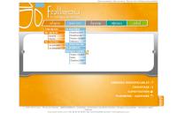 Folleau Le Chauffage Automatique