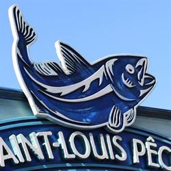 Saint louis pêche