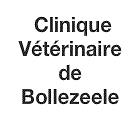 Clinique Vétérinaire du Docteur Pamphile Kouman