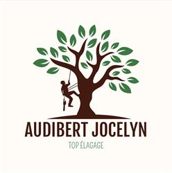 AUDIBERT JOCELYN