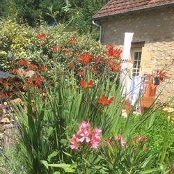 Cuvier Sarlat, gites.