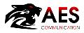 Alain ESMIEU AES COMMUNICATION