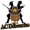 VILLEMIN ACDEBOUCHE