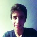 Avis
