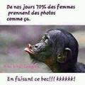 Avis