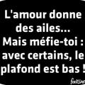 Avis