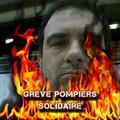 Avis