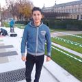Avis