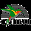 colibri 2000