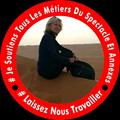 Avis