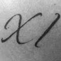 Avis