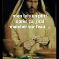 Avis