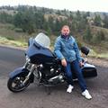 Avis