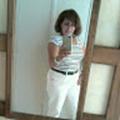 Avis