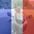 Avis