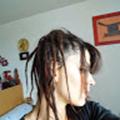 Avis