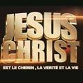 Avis