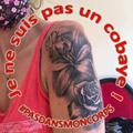 Avis