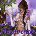 Avis