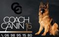 coachcanin16 coachcanin16