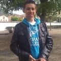 Avis